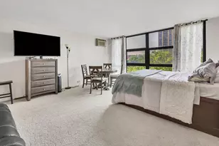 2901 S Michigan Ave, Chicago, IL 60616 - Photo 9