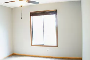 3410 Donovan Dr, Crete, IL 60417 - Photo 21