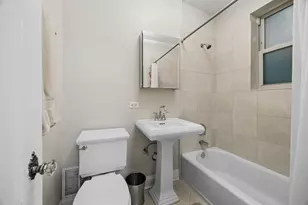 344 S Maple Ave, Oak Park, IL 60302 - Photo 19