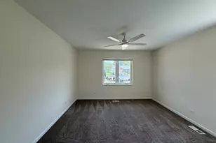 924 Bergera Street W, Braidwood, IL 60408 - Photo 13