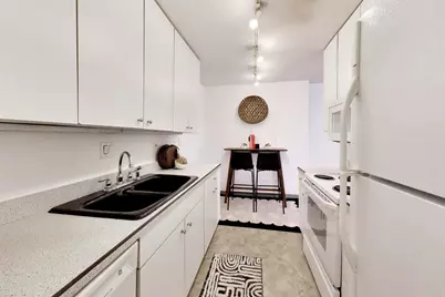 900 N Lake Shore Drive #1610, Chicago, IL 60611 - Photo 15