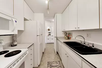 900 N Lake Shore Drive #1610, Chicago, IL 60611 - Photo 13