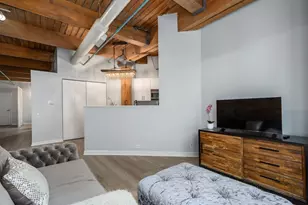 225 W Huron St, Chicago, IL 60654 - Photo 7