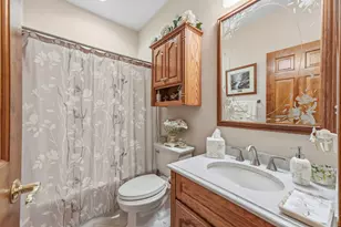 6N342 Linden Ave, Medinah, IL 60157 - Photo 17
