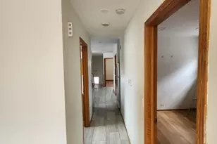 1719 S Ruble St, Chicago, IL 60616 - Photo 9