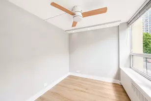 1355 N Sandburg Terrace, Chicago, IL 60610 - Photo 11