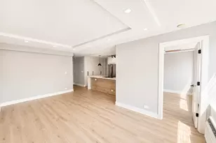 1355 N Sandburg Terrace, Chicago, IL 60610 - Photo 7