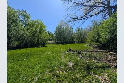 14545 Woodland Avenue, Orland Park, IL 60462 - Photo 3