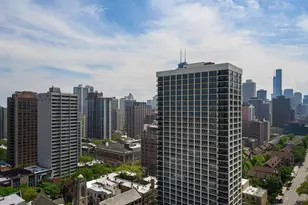 1455 N Sandburg Terrace, Chicago, IL 60610 - Photo 7