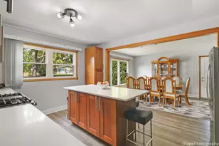 1569 Sherman Pl, Des Plaines, IL 60016 - Photo 13