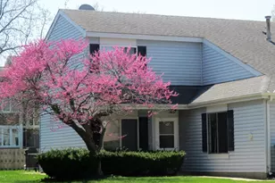 31 Buckingham Ln, Buffalo Grove, IL 60089 - Photo 21