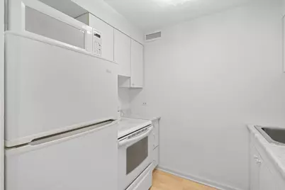 233 E Erie Street #1403, Chicago, IL 60611 - Photo 9