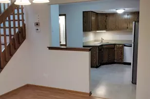 9303 Whitehall Ln, Orland Park, IL 60462 - Photo 11