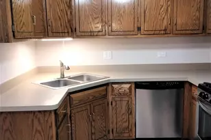 9303 Whitehall Ln, Orland Park, IL 60462 - Photo 19
