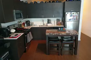 1345 S Wabash Ave, Chicago, IL 60605 - Photo 3