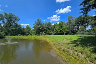4707 E Il Hwy 15, Chicago, IL 62898 - Photo 25
