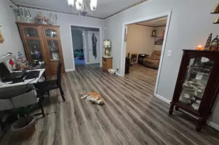 4707 E Il Hwy 15, Chicago, IL 62898 - Photo 51