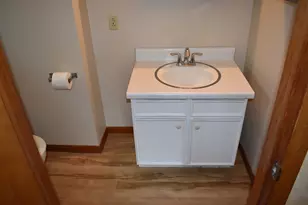 301 E Ririe Pl, Flanagan, IL 61740 - Photo 21