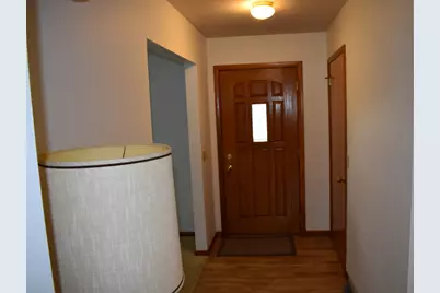 301 E Ririe Place, Flanagan, IL 61740 - Photo 9