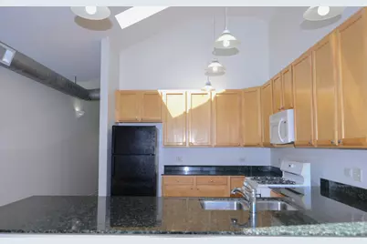 2334 W Harrison Street #4, Chicago, IL 60612 - Photo 5