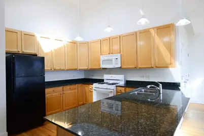 2334 W Harrison Street #4, Chicago, IL 60612 - Photo 7