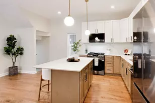1033 S Claremont Ave, Chicago, IL 60612 - Photo 3