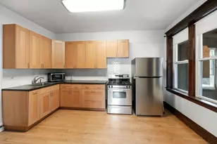 3213 S Lituanica Ave, Chicago, IL 60608 - Photo 9