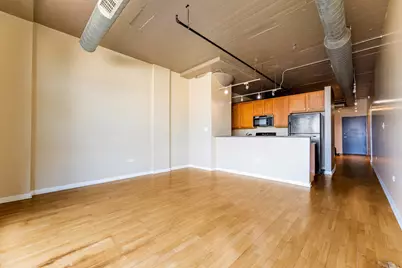 1550 S Blue Island Avenue #613, Chicago, IL 60608 - Photo 3