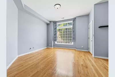 327 S Richmond Street, Chicago, IL 60612 - Photo 19