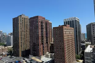 111 W Maple St, Chicago, IL 60610 - Photo 17