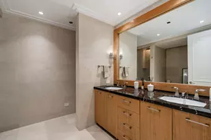 159 E Walton Pl, Chicago, IL 60611 - Photo 15