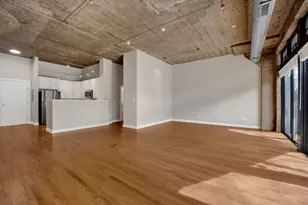 1071 W 15th St, Chicago, IL 60608 - Photo 5