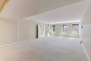 40 E 9th St, Chicago, IL 60605 - Photo 21