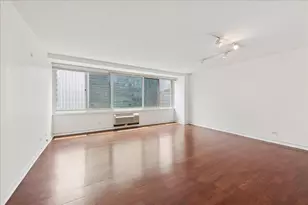 211 E Ohio St, Chicago, IL 60611 - Photo 5