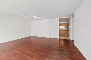 211 E Ohio St, Chicago, IL 60611 - Photo 7
