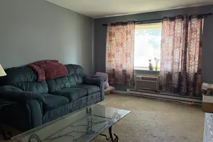 222 Madison St, Joliet, IL 60435 - Photo 15