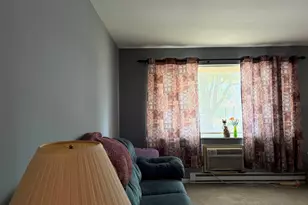222 Madison St, Joliet, IL 60435 - Photo 13
