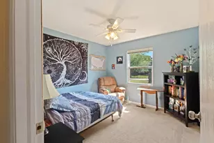 911 Cottonwood Dr, Elwood, IL 60421 - Photo 25