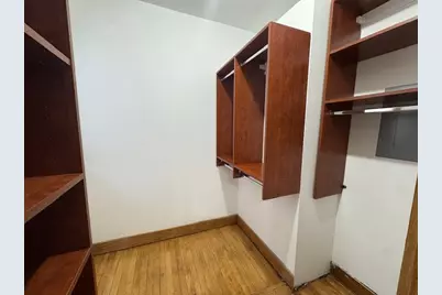 3309 S Lowe Avenue, Chicago, IL 60616 - Photo 11