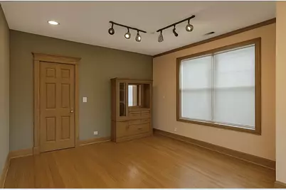 3309 S Lowe Avenue, Chicago, IL 60616 - Photo 9