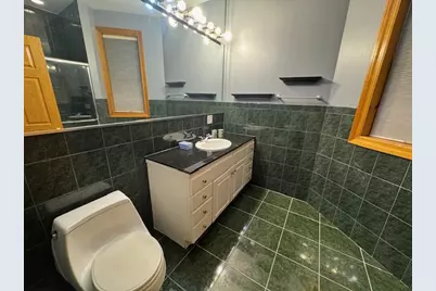 3309 S Lowe Avenue, Chicago, IL 60616 - Photo 5