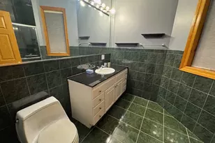 3309 S Lowe Ave, Chicago, IL 60616 - Photo 5