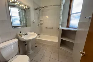 3309 S Lowe Ave, Chicago, IL 60616 - Photo 13