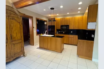 3309 S Lowe Avenue, Chicago, IL 60616 - Photo 3