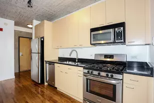 1845 S Michigan Ave, Chicago, IL 60616 - Photo 9