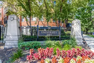 831 W 14th Pl, Chicago, IL 60608 - Photo 47