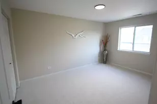 1851 Towhee Ct, Joliet, IL 60435 - Photo 17