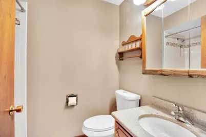 14637 S East Abbott Road, Homer Glen, IL 60491 - Photo 19