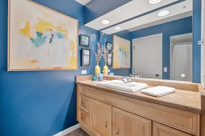 264 Biltmore Drive, North Barrington, IL 60010 - Photo 29