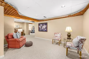 1N055 Coventry Dr, Carol Stream, IL 60188 - Photo 29